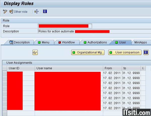 user to role assignment table sap